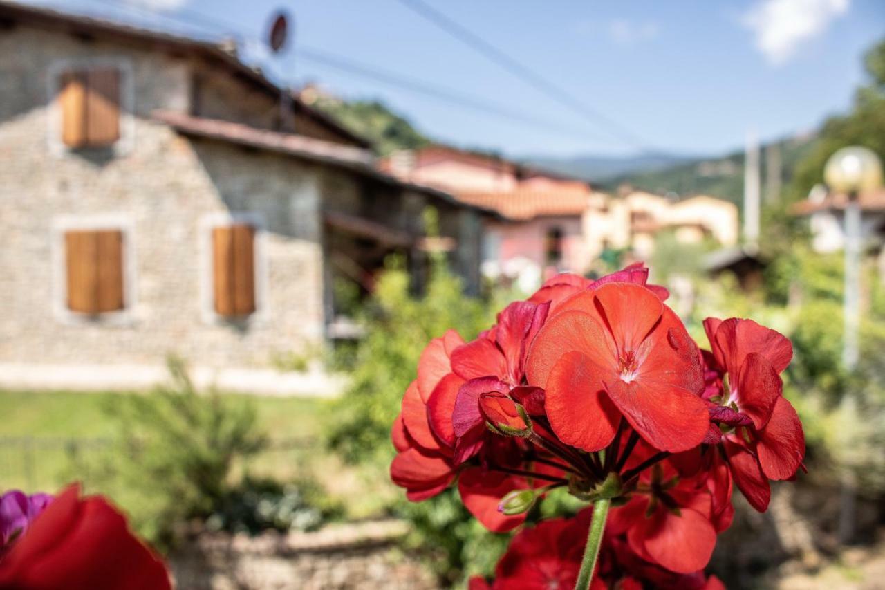 B&B La Casa D'Artista Ortignano Raggiolo Exteriér fotografie