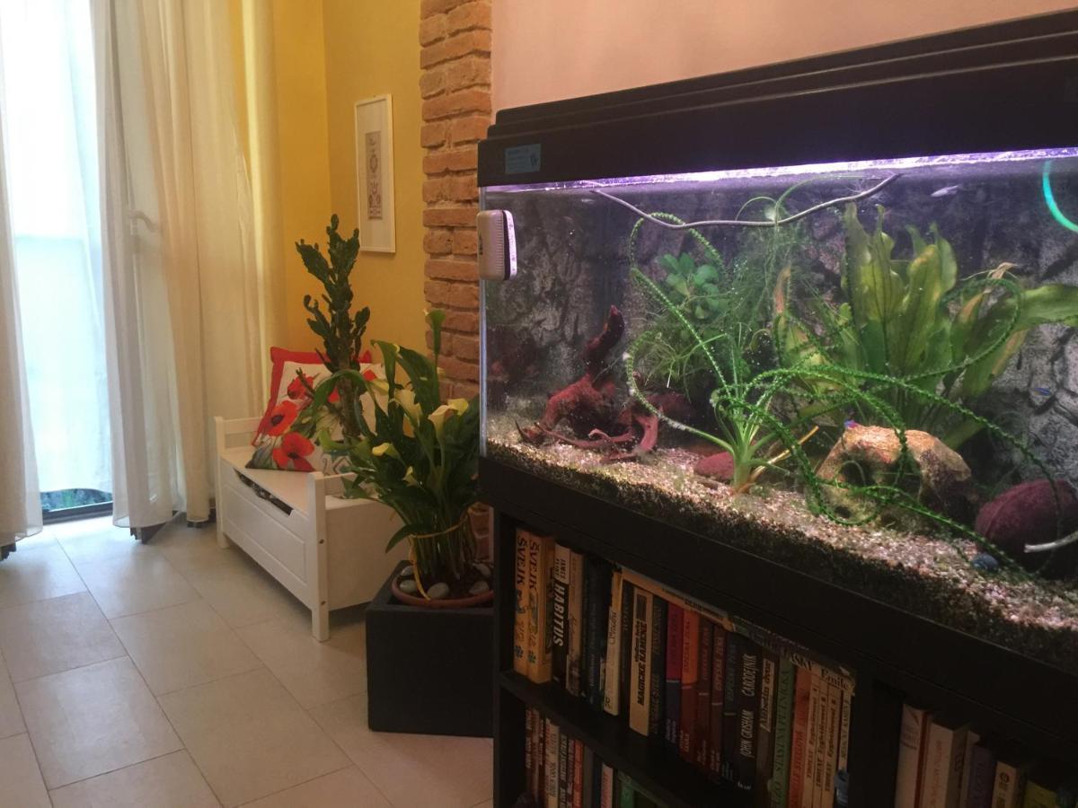 B&B La Casa D'Artista Ortignano Raggiolo Exteriér fotografie